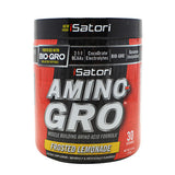 iSatori Amino-Gro - Frosted Lemonade - 9.52 oz - 883488004711
